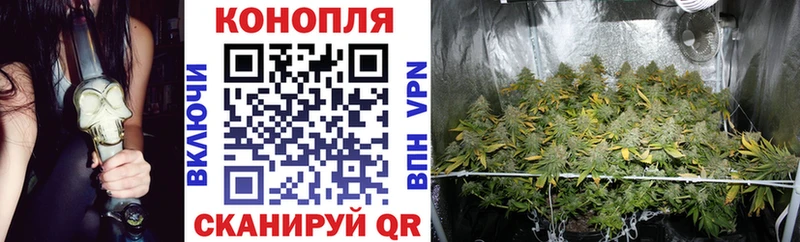 Канабис индика  Королёв 